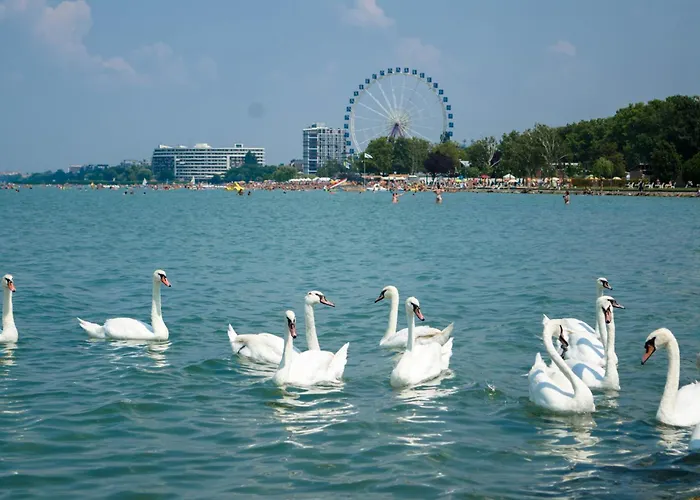 아파트 In - Balaton 54365 시오포크